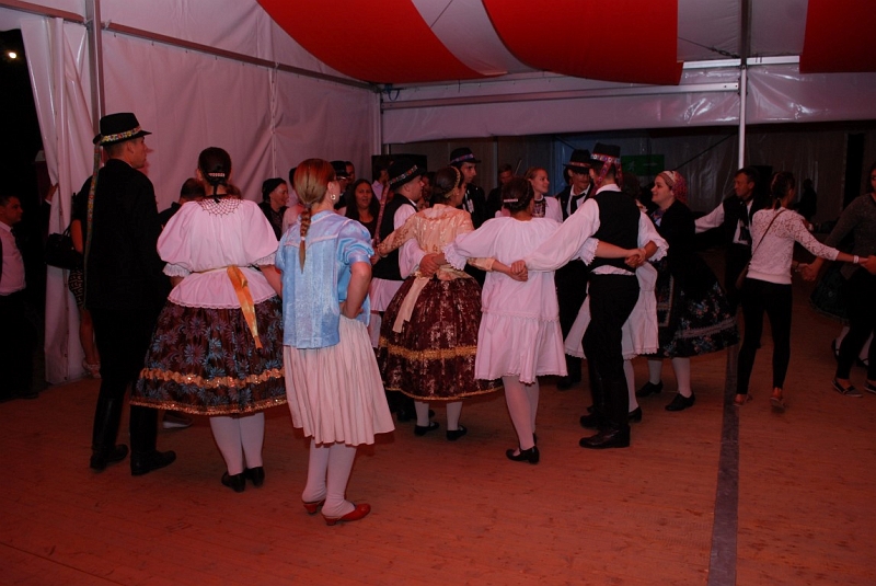 DSC_2393 (Medium).JPG